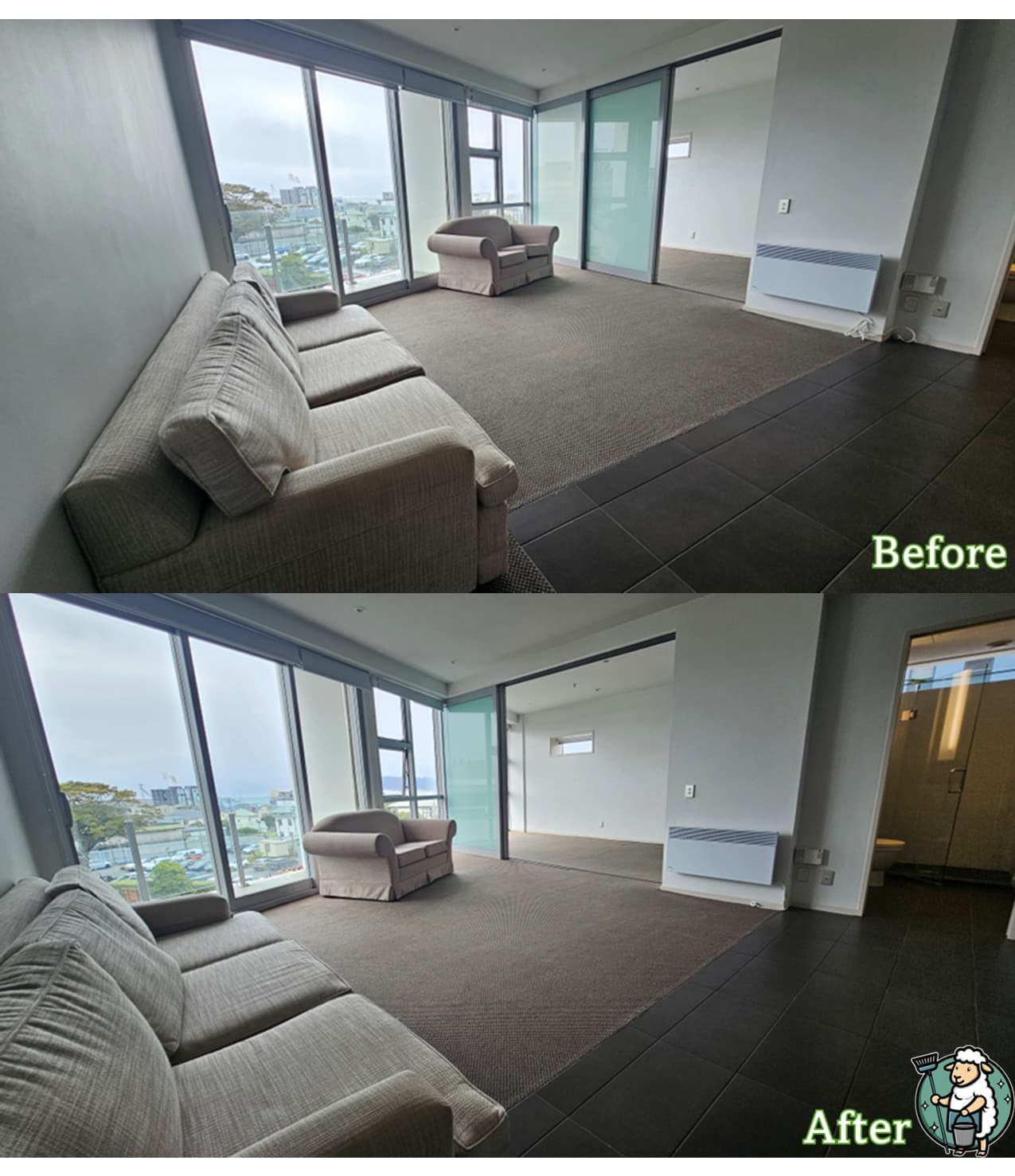 SheepShape before and after cleaning result 1